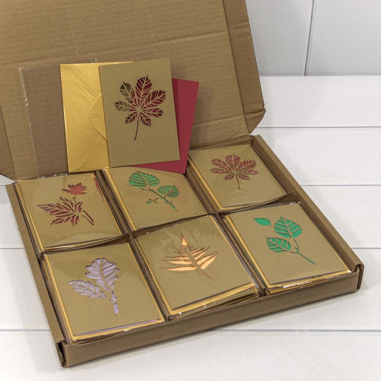 1114/3 Открытки Набор в коробке (микс 8) 9*13 1/60 1/1200