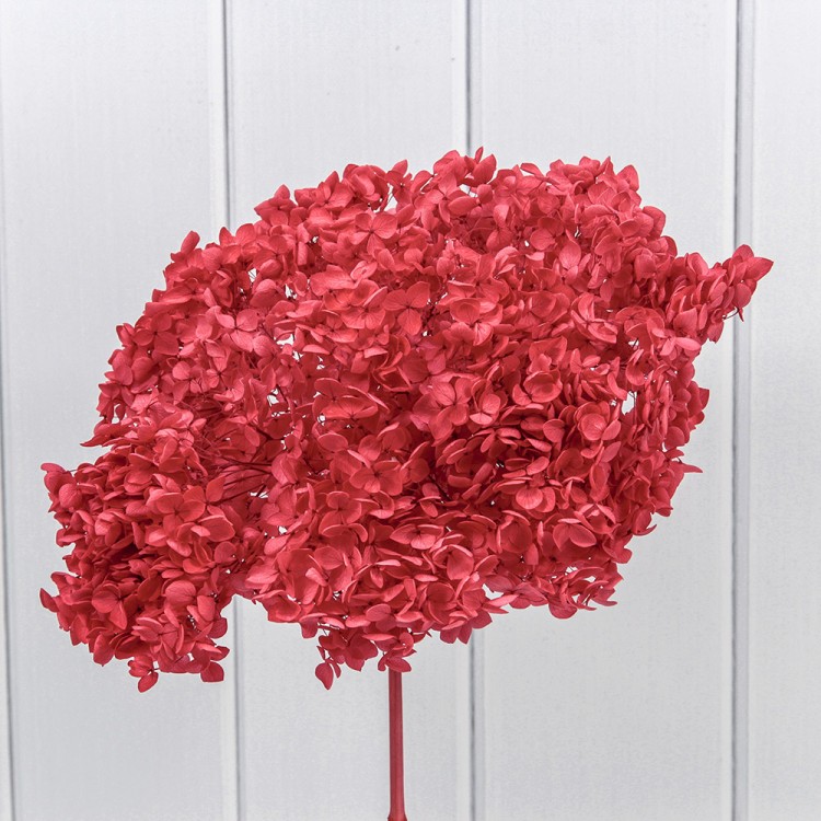 420063/4 Сухоцвет "Гортензия" 55см Красный 1/1 1/100