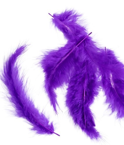 1501-7084 Перья декоративные Фиолетовые 10см 30штG