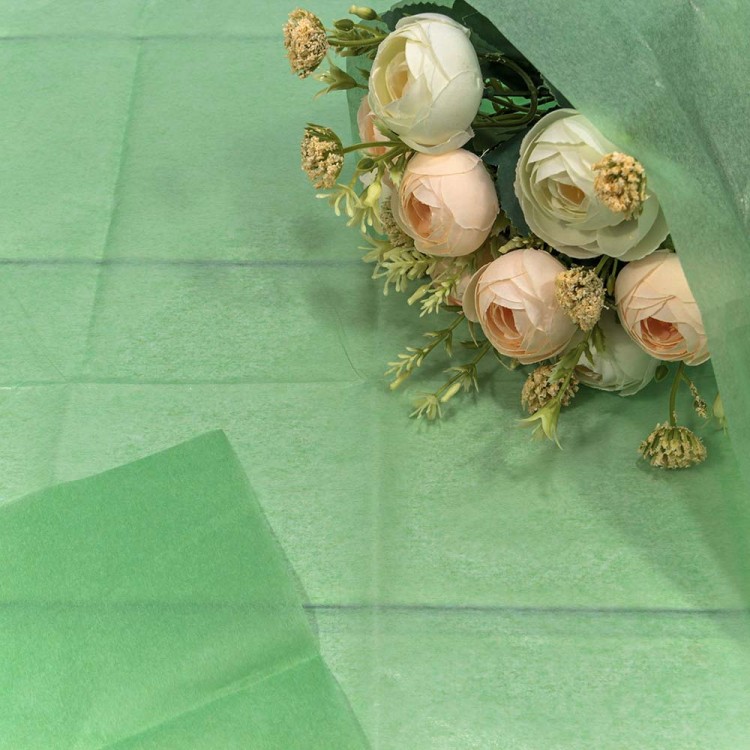 000100/21 Бумага в листах "Тишью" 50*66 (10 шт.) Светло-зелёный 1/250 000100/21 Бумага в листах "Тишью" 50*66 (10 шт.) Светло-зелёный 1/250