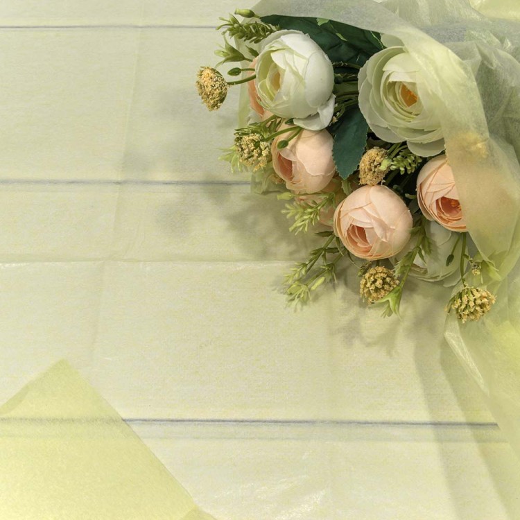 000100/24 Бумага в листах "Тишью" 50*66 (10 шт.) Бежевый 1/250 000100/24 Бумага в листах "Тишью" 50*66 (10 шт.) Бежевый 1/250