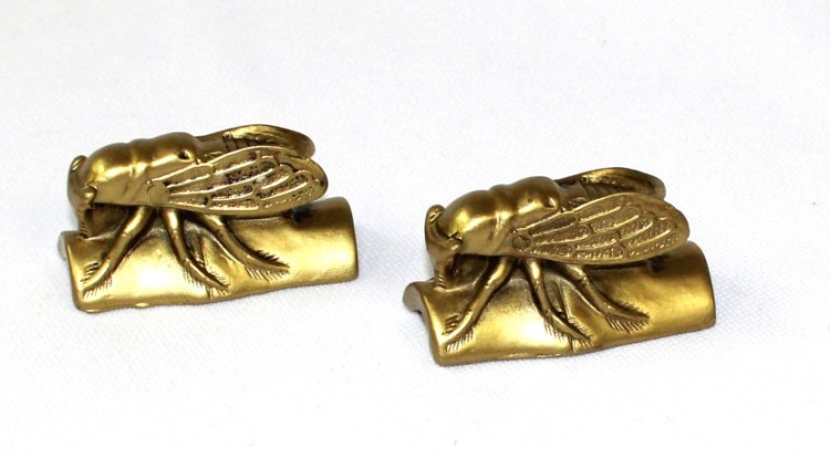 120 Пара цикад