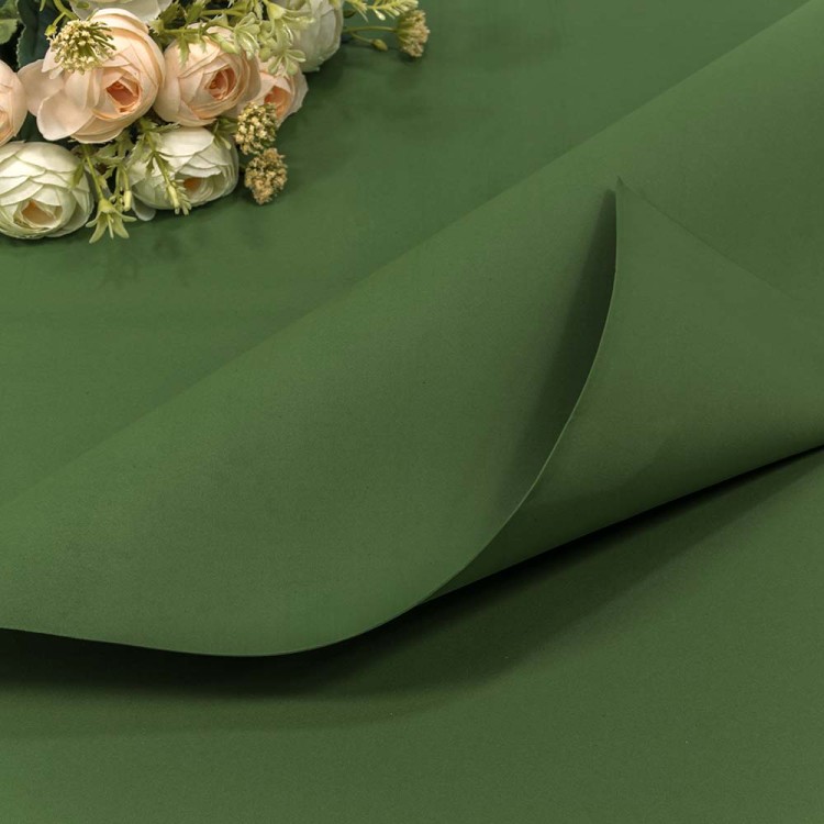 2020/21 Фоамиран в листах 1мм 70*60 (10 шт.) Зелёный 1/25 2020/21 Фоамиран в листах 1мм 70*60 (10 шт.) Зелёный 1/25