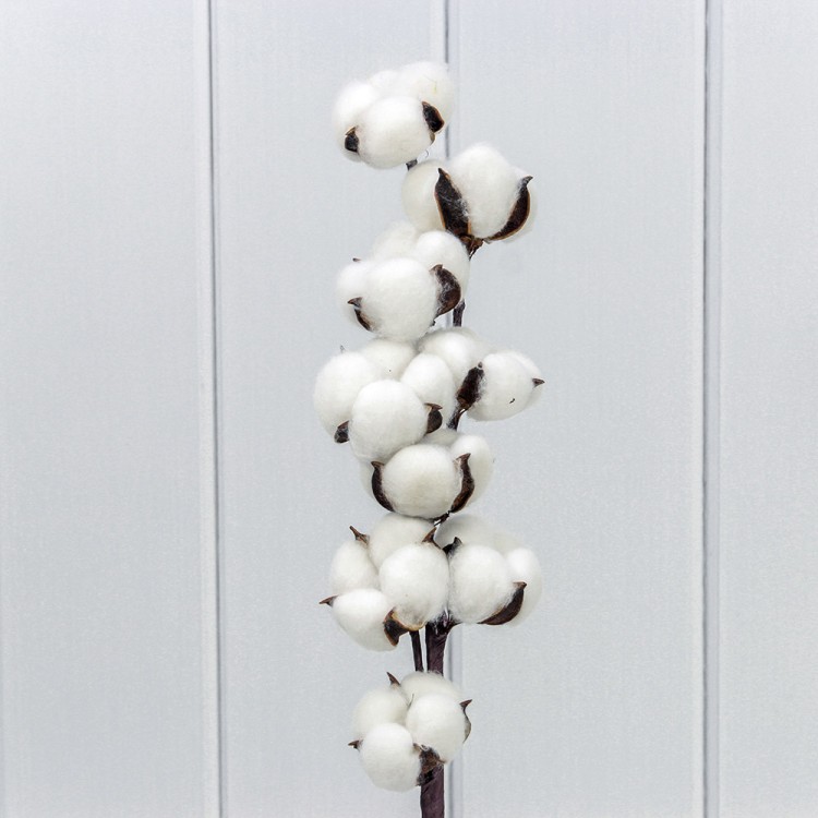 420064/1 Сухоцвет "Хлопок" 65см Белый 1/20 1/200