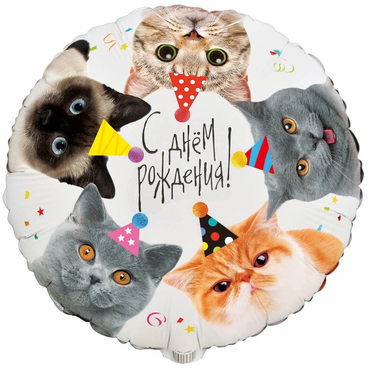1202-3986 "С Днём рождения! Котики фотографии" 18/46см шар фольга
