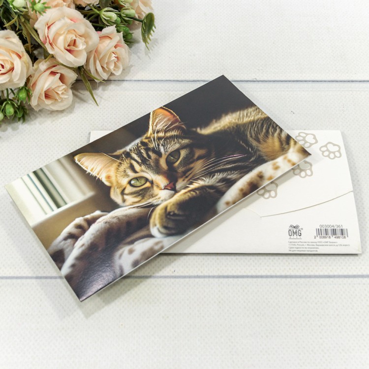003004/361 Конверт подарочный 16,5*9см 361 1/10 1/250 003004/361 Конверт подарочный 16,5*9см 361 1/10 1/250
