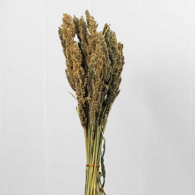 65126 Изделие декоративное "ПАЙЗА"