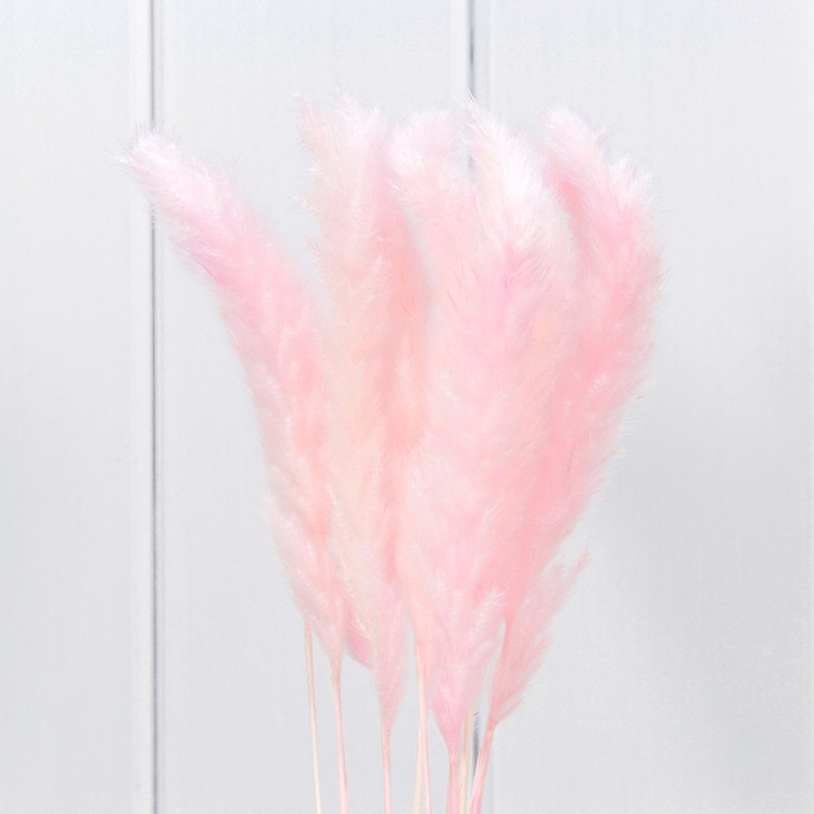 420061/3 Сухоцветы "Тростник" (10 шт.) Розовый 1/250