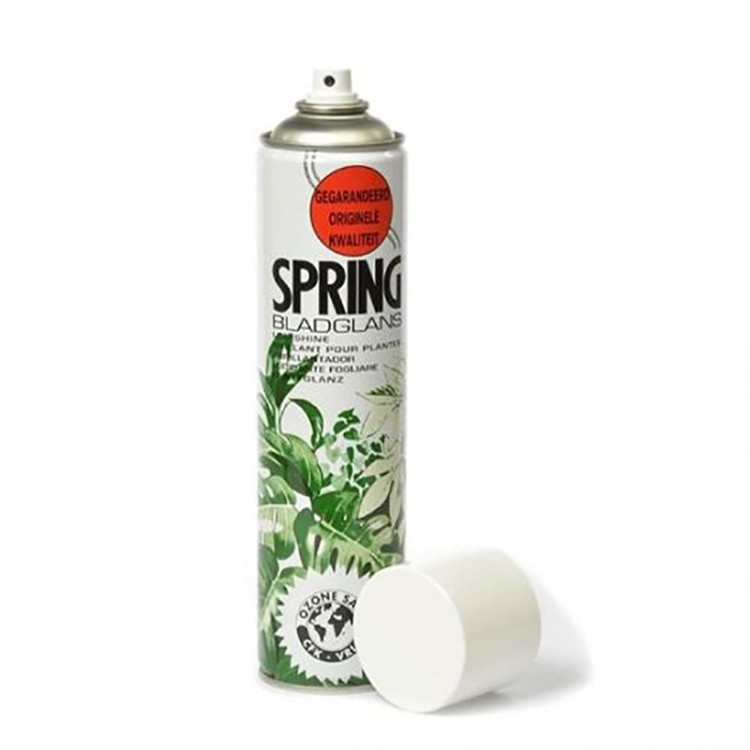 22091 Глянец для листьев 600 мл 1/1 22091 Глянец для листьев 600 мл 1/1