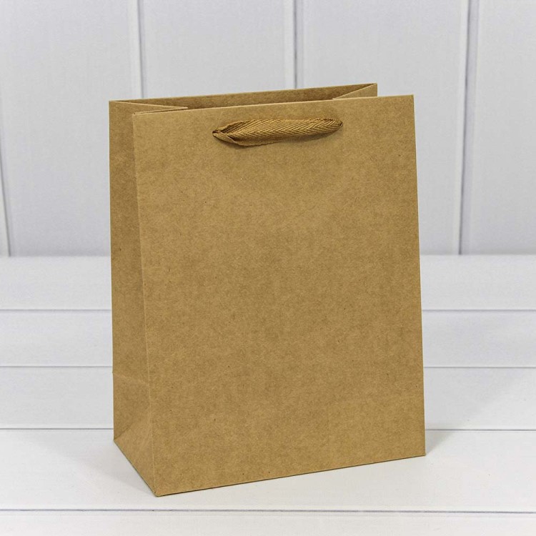 000222E Пакет подарочный Крафт 18*23*10 см (170 г) 1/20 1/360